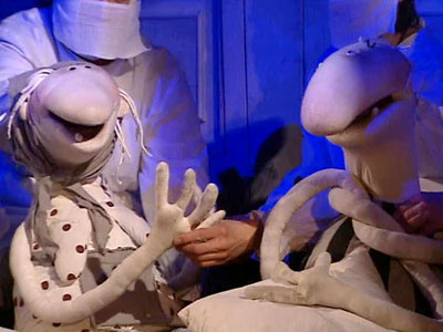 ������� ����� ����� �������� ������ - "������ ������� ����"