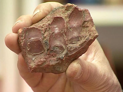 ������� ���������: ��� ������������ ������� �������� �����