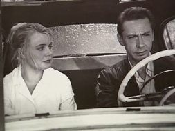 ���� ������ ����� ��������