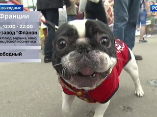 ������ ���� ����� ���������� ��������