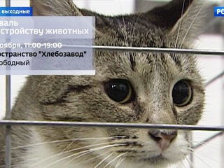 �������� � �������: �����, �������������� ������� � ����� ����� ������