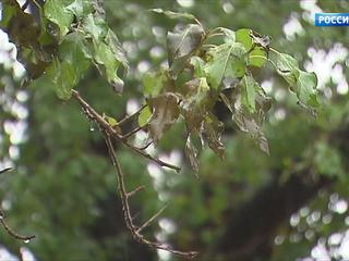 �����-������. ���� �� 31 ������� 2017 ���� (11:40)