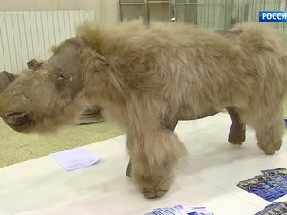 �����-������. ���� �� 15 ������� 2017 ���� (11:40)