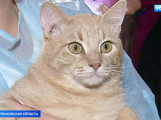 �����-������. ���� �� 13 ������ 2018 ���� (11:25)