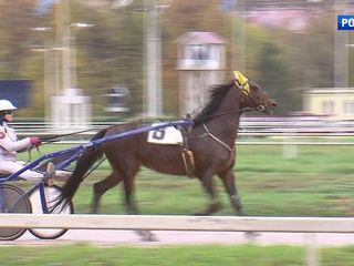 ��������������: ���������� ����������� ��������� ����������� �� �����