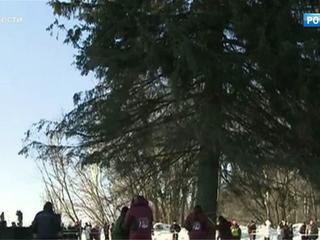 �����-������. ���� �� 15 ������� 2017 ���� (08:35)