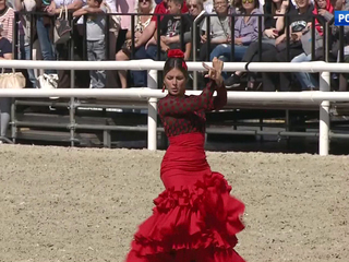 � ���� ������ ��������� ��������� "�������� �����"