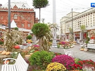 ���� �������� � "���� ��������": ��� �������� ����������� ��������