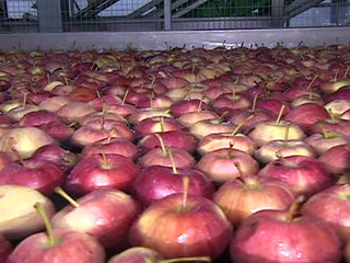 ����� � 22:00 � �������� ���������. ���� �� 8 ������ 2017 ����