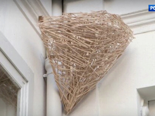 �������� �������� �������� "������" � ���������� �����